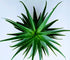 article.image.alt